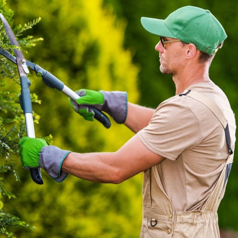 Manutentore aree verdi (1)